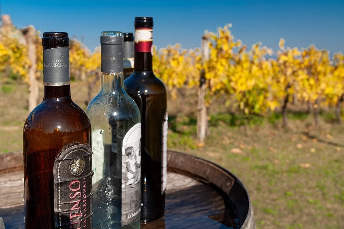 Buget pentru Toscana