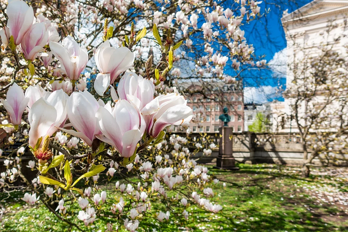 Lund, Suedia